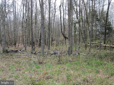 300 George James Loop, Radiant, VA 22732 - photo 6