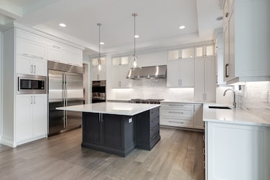 435 N Walnut St, Elmhurst, IL 60126 - photo 6