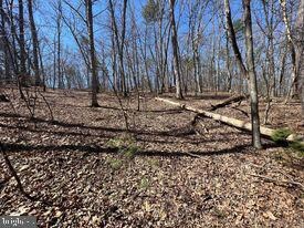 86 Mountain Top Rd, Mathias, WV 26812 - photo 6