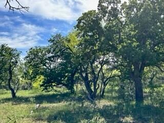 63 County Road 129, Brownwood, TX 76801 - photo 5