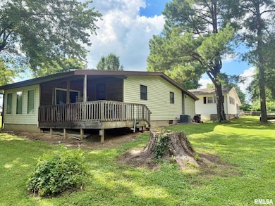 24 Adkins St, Metropolis, IL 62960 - photo 5