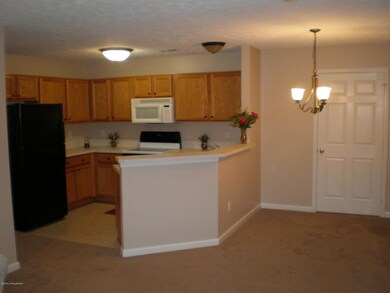 8482 Grand Trevi Dr unit 3001, Louisville, KY 40228 - photo 5