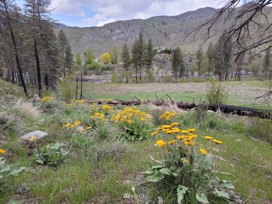 0 Black Pine Rd unit 1925745, Methow, WA 98834 - photo 5