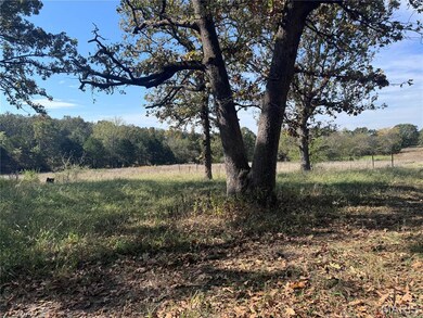 299 Rogers Ave, Stoutland, MO 65567 - photo 3