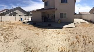 Backyard Julian