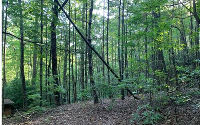 Additional View