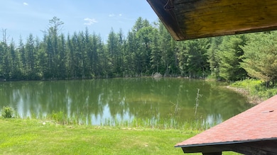pond from balcony