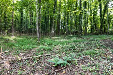 Nearly level homesite