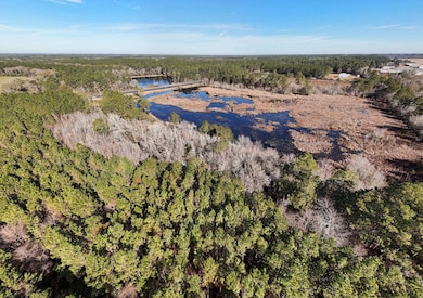 xx Ga Hwy 319 N, Other Georgia, GA 31768 - photo 4