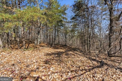 1166 Hunter Dr, Ranger, GA 30734 - photo 4