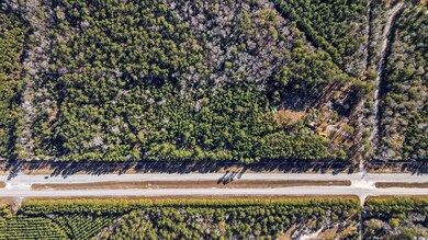 705 Catclaw Rd, Andrews, SC 29510 - photo 3