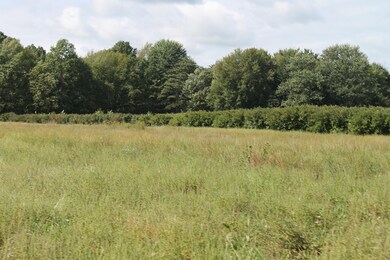 0 Weechik Rd, New Troy, MI 49119 - photo 4