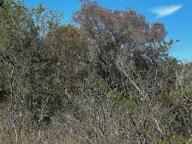 19093 NW 302nd St, Okeechobee, FL 34972 - photo 5