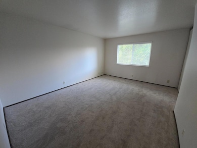 407 Raymond Ave, San Jose, CA 95128 - photo 7