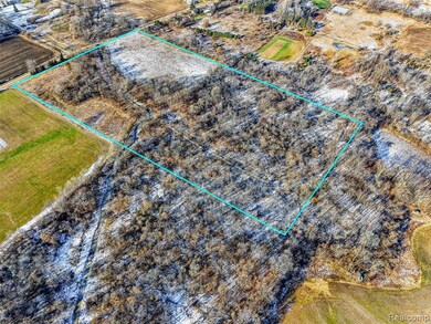 10525 Godfrey Rd, Bancroft, MI 48414 - photo 3