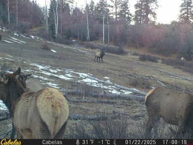 TBD Albert Place, Pagosa Springs, CO 81147 - photo 5