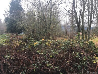 18017 158th Ave SE, Yelm, WA 98597 - photo 6