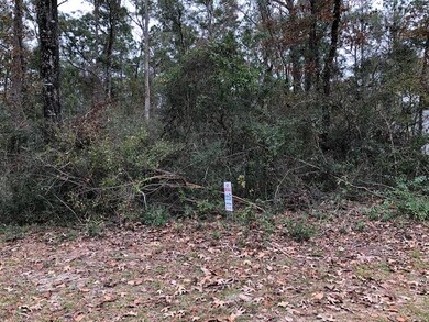 0 Eastgate Way, Crawfordville, FL 32327 - photo 4