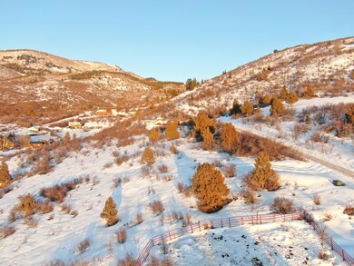 DJI_0184