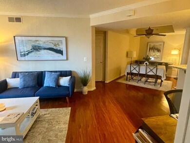 Lexington Square unit 504E, Arlington, VA 22203 - photo 7