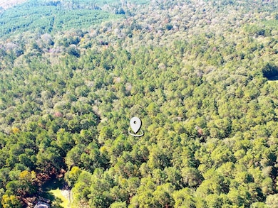 TBD County Road 3568, Woodville, TX 75979 - photo 6