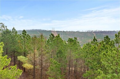 0 Lot 136 unit 989485, Broken Bow, OK 74728 - photo 4