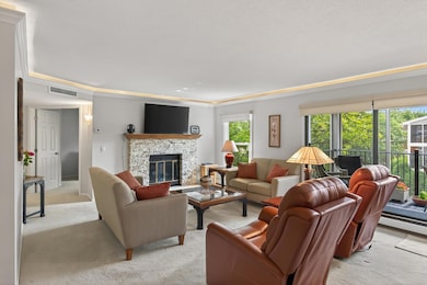 3020 Saint Albans Mill Rd unit 303, Minnetonka, MN 55305 - photo 6