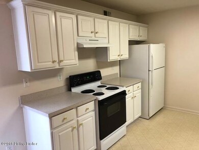 8705 Hidden Grove Place, Louisville, KY 40291 - photo 3