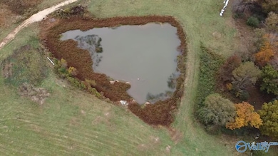 13.9 Acres County Road 429, Fyffe, AL 35971 - photo 2