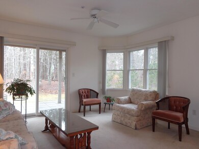 28 Blueberry Path unit P, Yarmouth Port, MA 02675 - photo 6