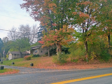 14985 157th Ave, Big Rapids, MI 49307 - photo 6