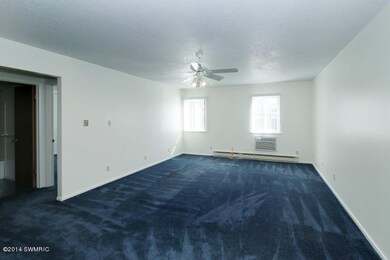 173 E Michigan Ave unit 203B, Three Rivers, MI 49093 - photo 3