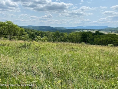 5 Middle Mountain Dr, Tunkhannock, PA 18657 - photo 2