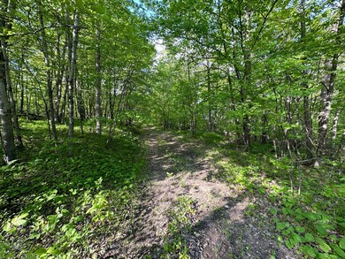 44698 Ida's Ln, Shell Lake Township, MN 56570 - photo 2