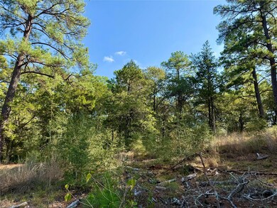 109 and 115 Olomana Ct, Bastrop, TX 78602 - photo 7