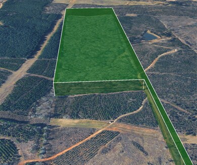 0 Nesbitt Cutoff, Marshall, TX 75670 - photo 6