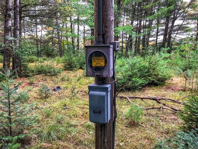 W8603 Wauwatosa Ave, Tomahawk, WI 54487 - photo 3