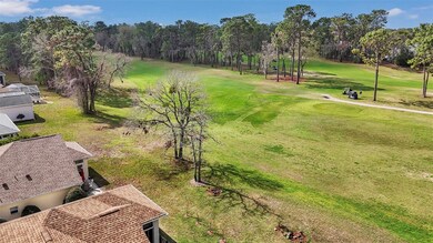 11741 SW 72nd Cir, Ocala, FL 34476 - photo 5