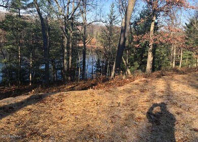 8205 N Perch Lake Dr, Bitely, MI 49309 - photo 5