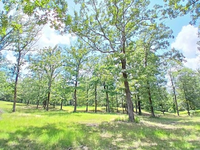 224 Veranda Trail, Pearcy, AR 71964 - photo 4