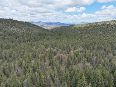 42289 U S 26, Dayville, OR 97825 - photo 6