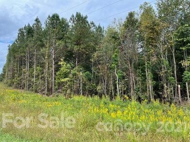 0 Crowders Creek Rd, Gastonia, NC 28052 - photo 3