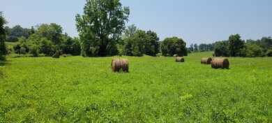 10.99 AC Eckles Cemetery Rd, Livingston, TN 38570 - photo 4