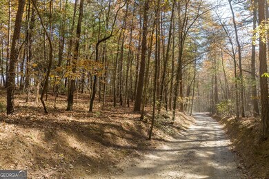 TR 1 Old Anderson Creek, Ellijay, GA 30536 - photo 5