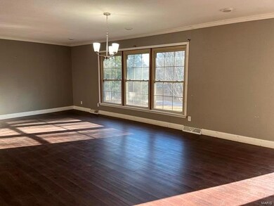 16929 Chalk Bluff Trail, Dexter, MO 63841 - photo 3