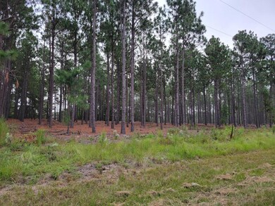 Lot D Dead Man Curve Rd.