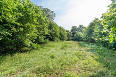 Lot 6 W Point Trail, Amor Township, MN 56515 - photo 6