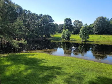 1047 County Road 4452, Bivins, TX 75555 - photo 5