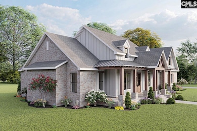 TBD Haltiwanger Rd, Chapin, SC 29036 - photo 6