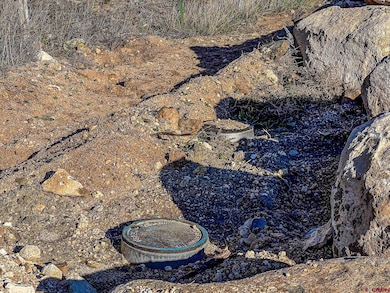 15369 2525 Rd, Cedaredge, CO 81413 - photo 7